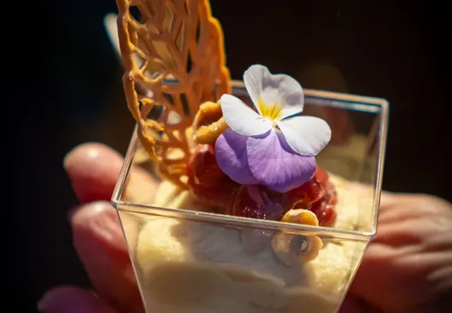 La nuit des Étoilés - Valence en Gastronomie Festival